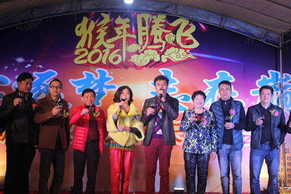 凯发化工2016年《同心逐梦，志在巅峰》元宵晚会